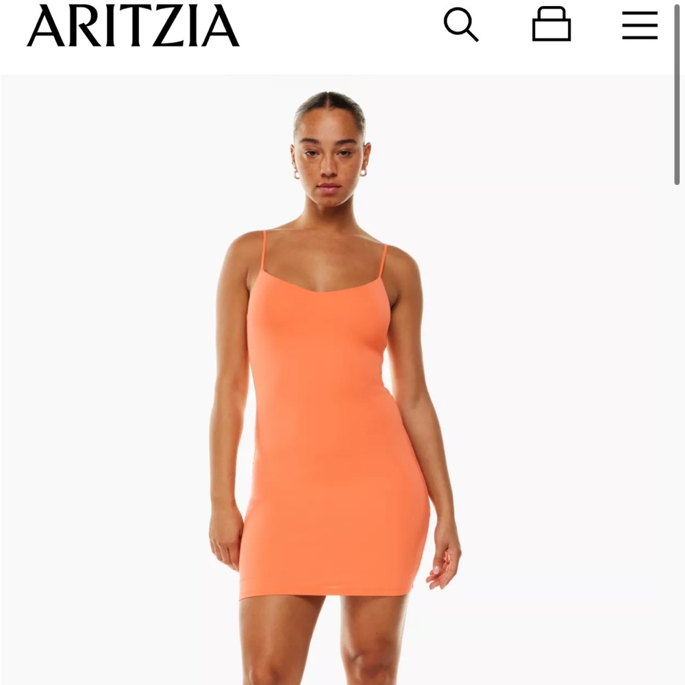 NWOT Aritzia dress